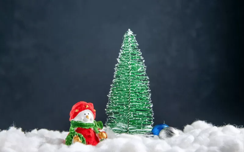 Snow-covered Christmas tree